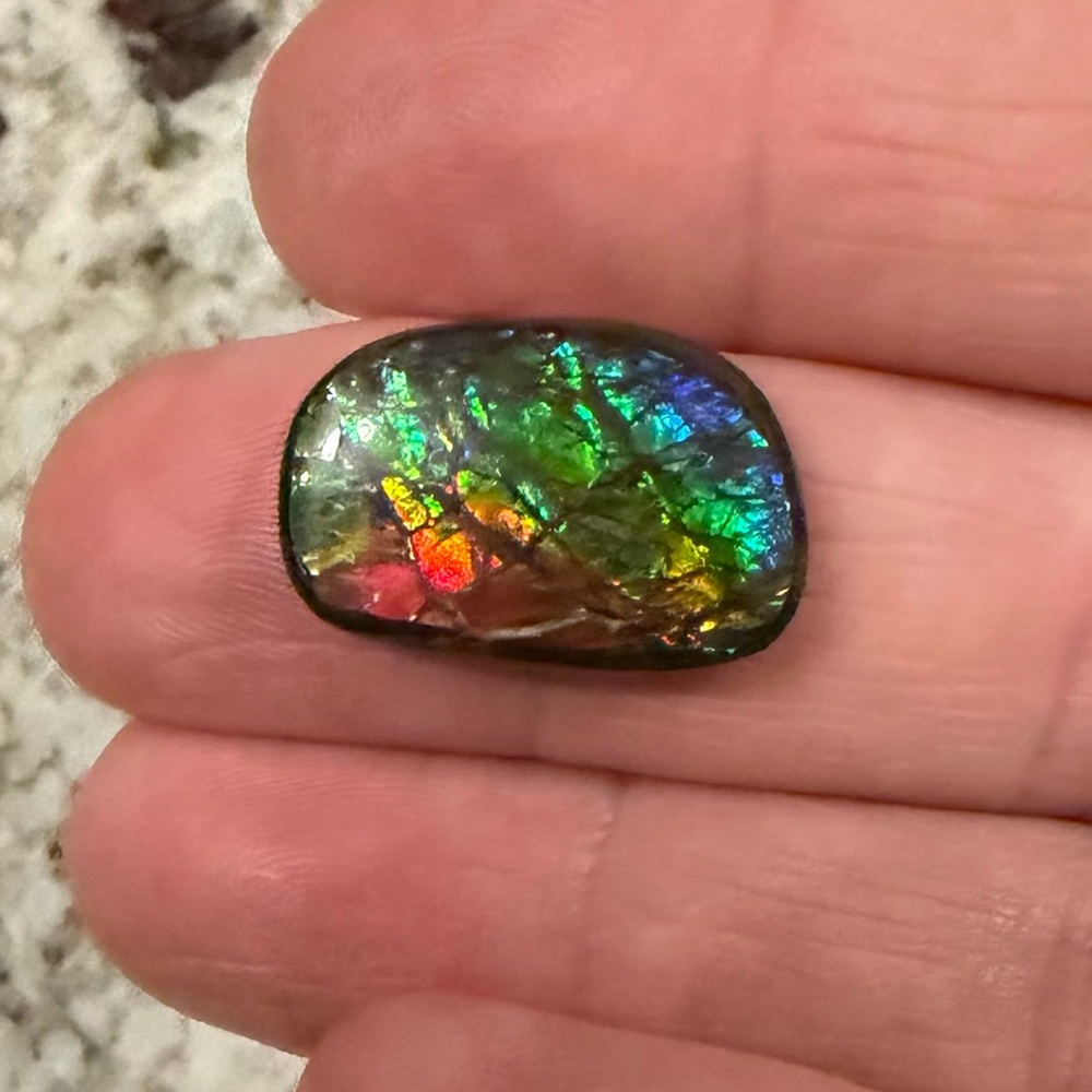 Gorgeous Ammolite Freeform Cabochon